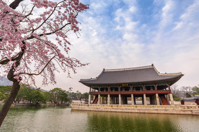 【最新】春の韓国にお出かけ！桜の季節におすすめのお出かけスポット＆ドラマロケ地