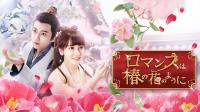 【BS12 トゥエルビで日本初放送】中国ドラマ『ロマンスは椿の花のように』あらすじ＆見どころ解説！