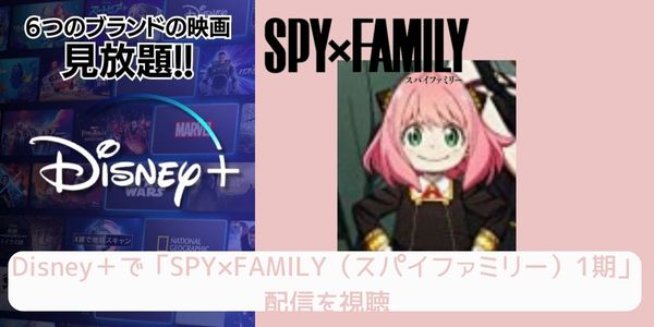 Disney+ SPY×FAMILY（スパイファミリー）1期 配信