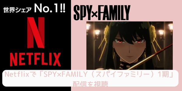 Netflix SPY×FAMILY（スパイファミリー）1期 配信