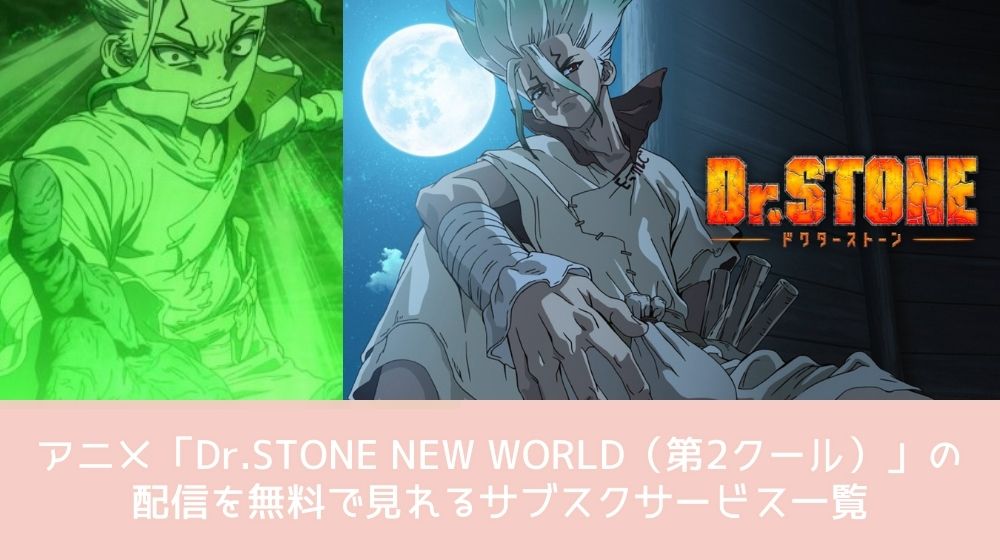  Dr.STONE NEW WORLD (3期 第2クール)  配信 サブスクサービス