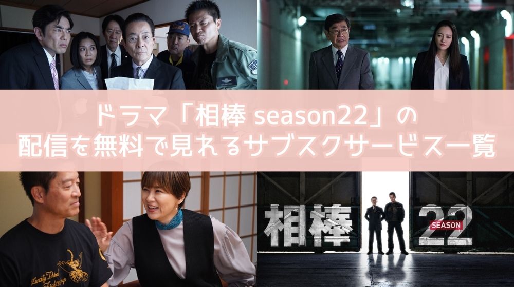 ドラマ 相棒 season22  配信 サブスクサービス