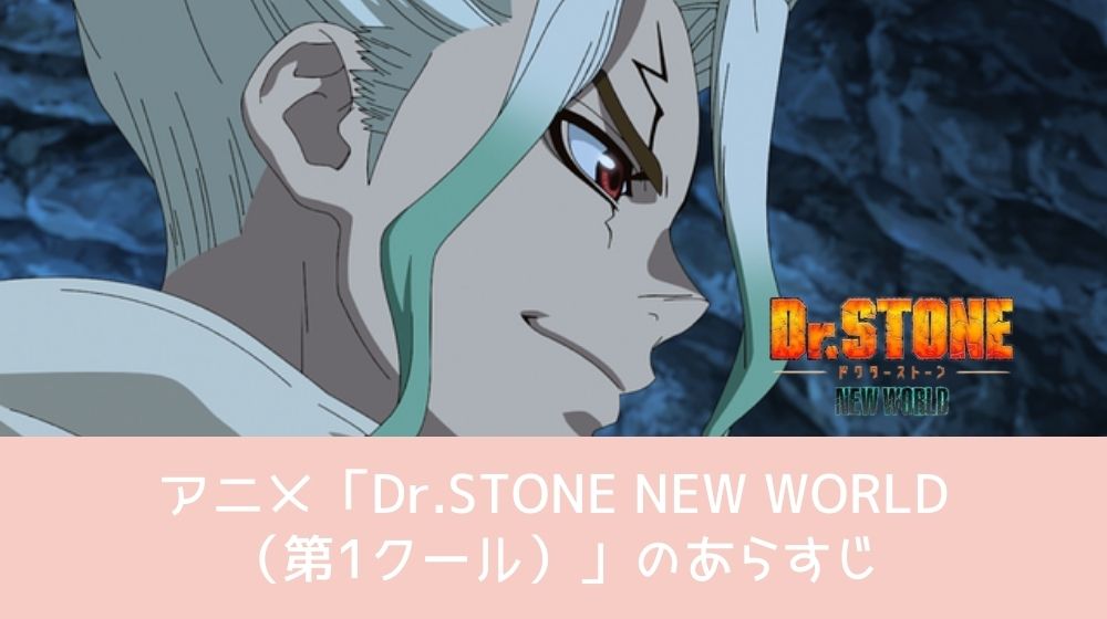 Dr.STONE NEW WORLD（第1クール） あらすじ