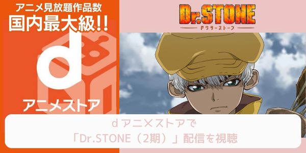 dアニメストア Dr.STONE（1期） 配信