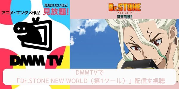 dmm Dr.STONE NEW WORLD（第1クール） 配信
