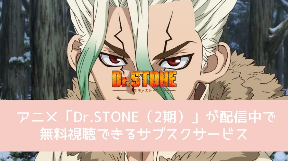 Dr.STONE NEW WORLD（第1クール） 配信