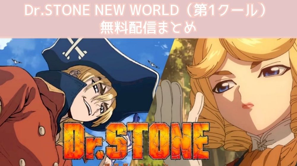 Dr.STONE NEW WORLD（第1クール）　配信