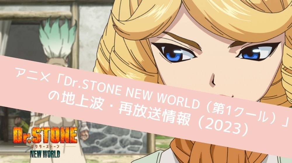 Dr.STONE NEW WORLD（第1クール） 再放送