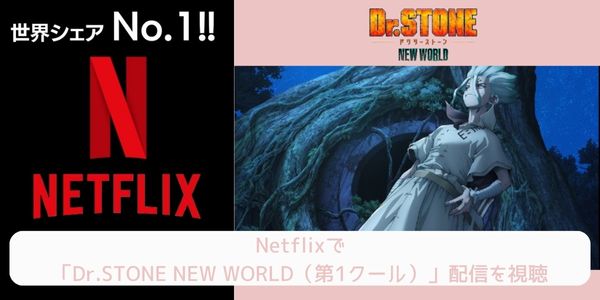 netflix Dr.STONE NEW WORLD（第1クール） 配信