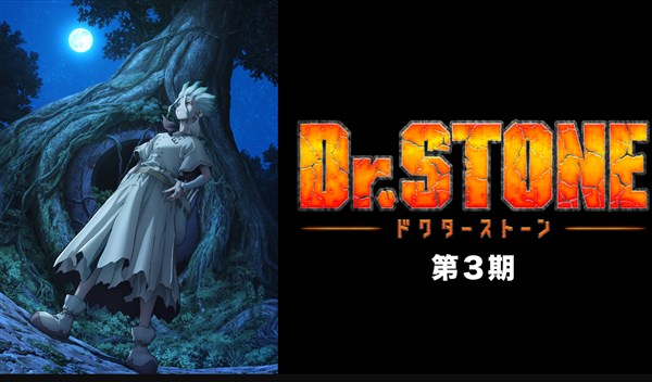 Dr.STONE NEW WORLD（第1クール） 配信