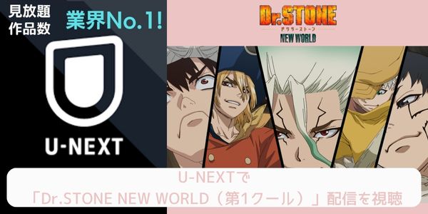 unext Dr.STONE NEW WORLD（第1クール） 配信