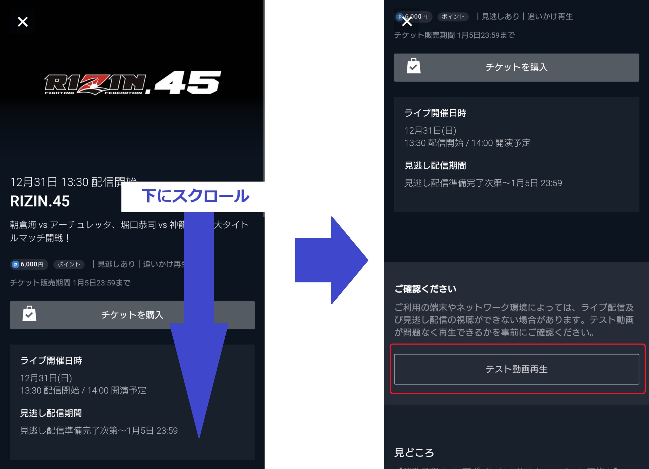 u-next RIZIN.45　テスト動画